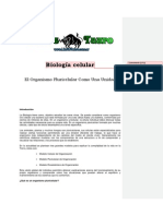 Anonimo - Biologia Celular PDF