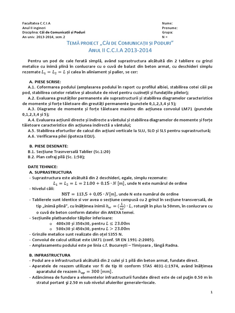 Tema Proiect Poduri CCIA | PDF