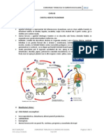 03.chist Hidatic Pulmonar & Pleurezia Purulenta