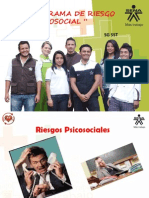 Subprograma de Riesgo Psicosocial 3 Abr 2013