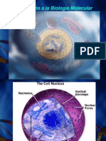 Introducci+ N A La Biolog+¡a Molecular