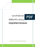 7 - Leis 8080, 8142 e Exercicios Esquematizados