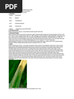 Download Penyakit Hawar Daun Bakteri by Wiwit Dian Novianti SN227405982 doc pdf