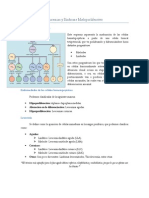 Leucemias y Síndrome Mieloproliferativo