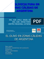 Argentina Presente y Futuro Ortiz Jorge