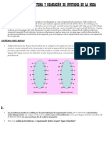 Actividades de Protocolo Tema 7 Colocación de Invitados en La Mesa