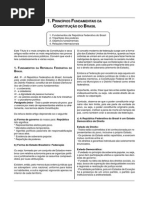 Direito Constitucional