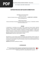 edic-vi-n10-RL41.pdf