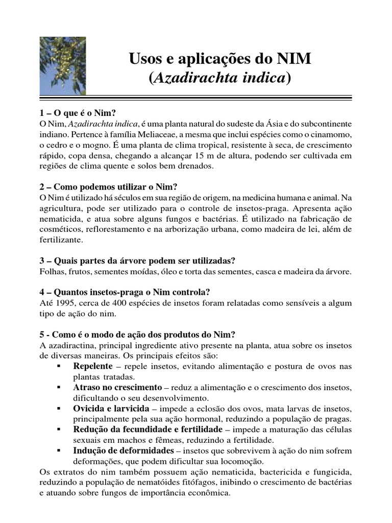 Cartilha Nim 2006 | PDF