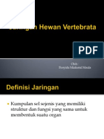 Jaringan Hewan Vertebrata