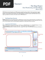 Download SPSS Modeler Tutorial 1 by xor657 SN227442579 doc pdf