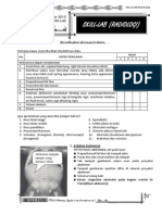 Lap Ketrampilan-Radiologi