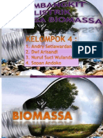 PLT Biomassa