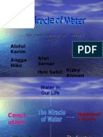 The Miracle of Water