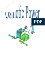Osmotic Power