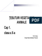 TESUTURIvegetale Si Animale Cls10 CNB2011
