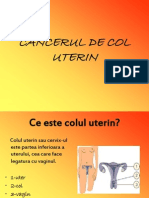 Cancerul de Col-Uterin