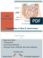 Referat Usus Halus Dll (Leny)