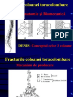 Curs Coloana Toracolombara (S)