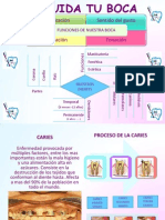 Folleto Salud Bucal (Tecnicas de Enseñanza)