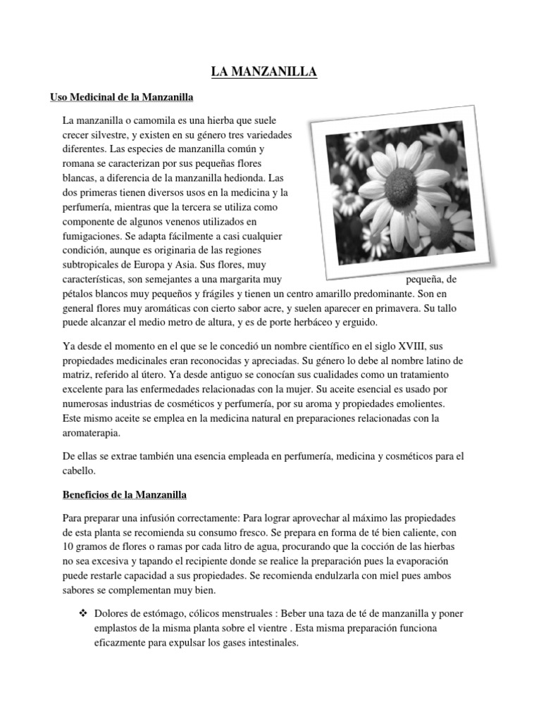 La Manzanilla PDF Té Perfume