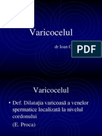 4. Varicocelul