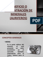 Concentracion de Minerales