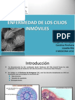 Enfermedad de Los Cilios Inmóviles