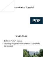 Ciclo Economico Forestal