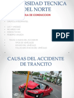 Causas Del Accidente