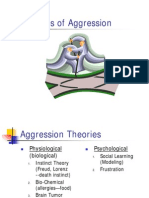 Theories of Aggression
