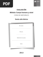 Prueba Pubertadto
