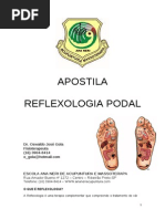5. Apostila i Reflexologia Podal Para Impressão