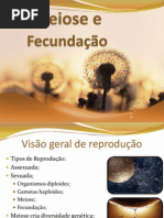 Meiose e Fecundação