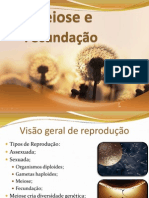 Meiose e Fecundação