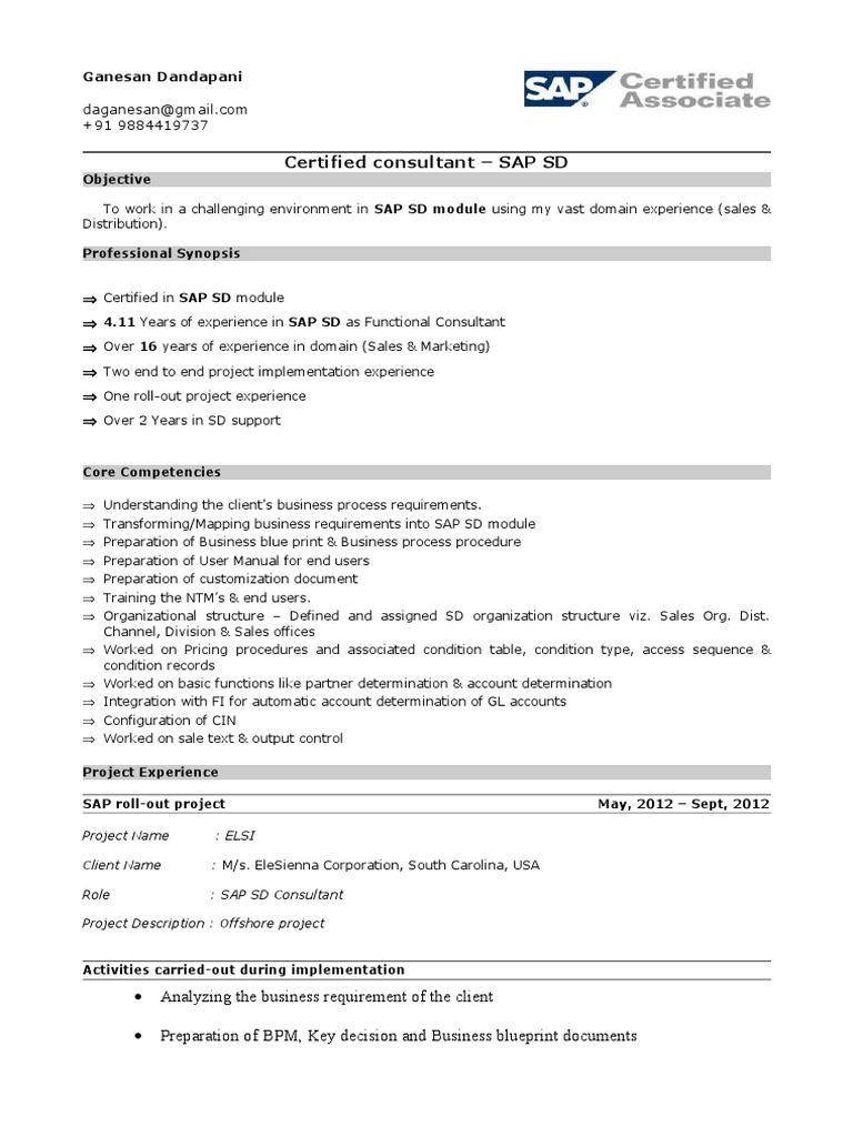 SAP SD Consultant with 4+ Years Experience | PDF | Production And ...