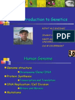 An Introduction To Genetics