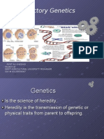 Introductory Genetics