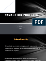 Tamano y Localizacion Del Proyecto