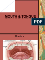 Mouth & Tongue