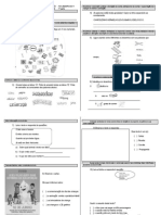 Simulado de Avaliac3a7c3a3o Diagnc3b3stica 2c2ba Ano Lp 21