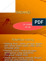 RADANG