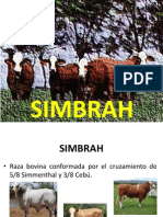 SIMBRAH