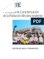 Informe de Resultados Encuesta de Caracterizacion de La Poblacion Afrodescendiente de La Region de Arica y Parinacota 2013