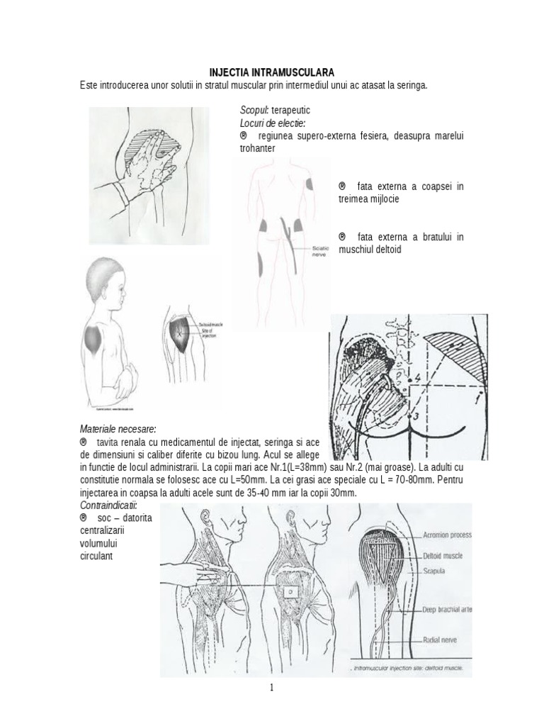 Locuri De Electie Injectia Intramusculara Injectia Intramusculara | PDF