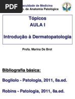 Topicos Dermatopatologia-2014-1sem Alunos (1)