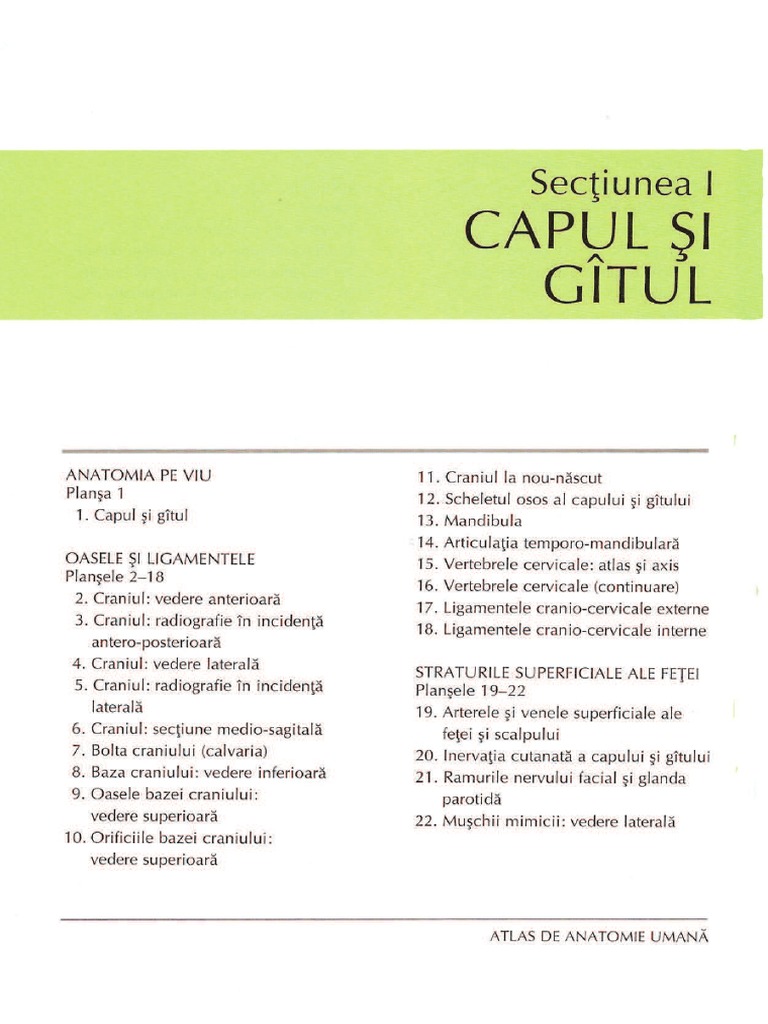 Netter Cap Gat | PDF