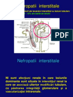 Nefropatii Interstitiale 2014