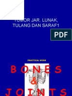 Tumor Jar. Lunak, Tulang Dan Saraf1