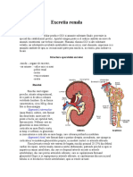 WWW - Referat.ro Excretia Renal A 55767